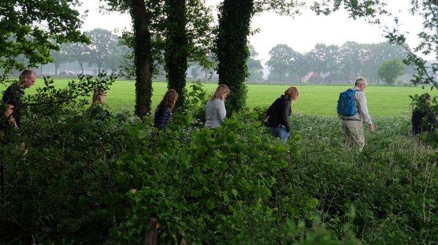 Dauwtrappen (donderdag 10 mei 2018)